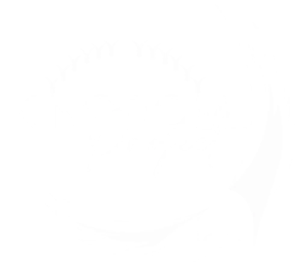 Logotipo de Kingdom Project